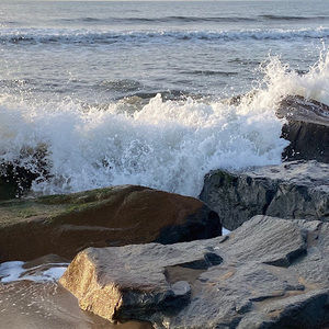 Meet your Posher, Gil